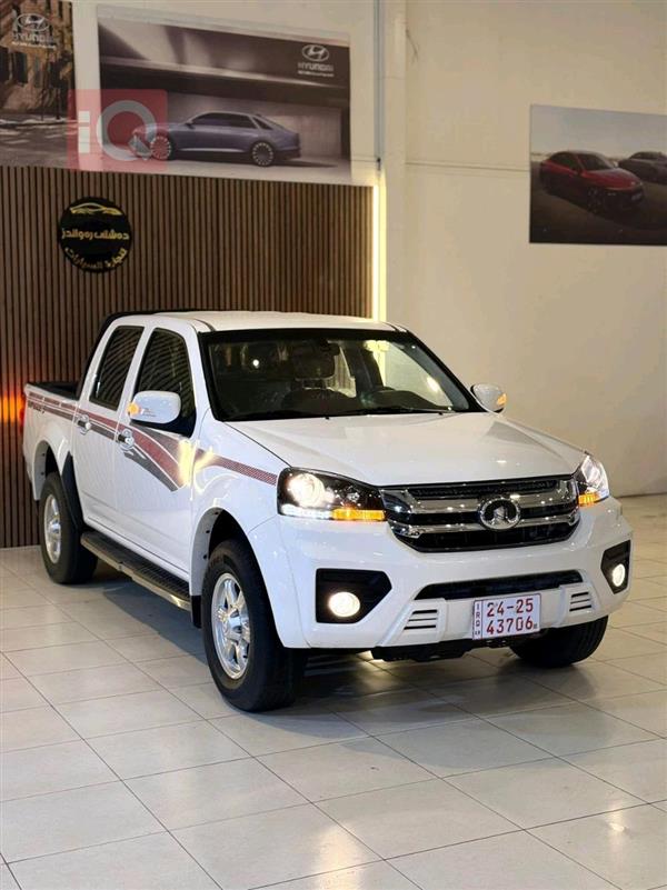 جريت وول وينجل 5 2025 للبيع في العراق - اربيل